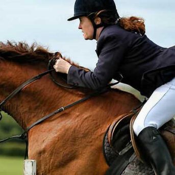 Val van paard dat over hindernis springt