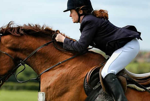 Val van paard dat over hindernis springt, Rechtbank Oost-Brabant 3 april 2025, ECLI:NL:RBOBR:2025:1922