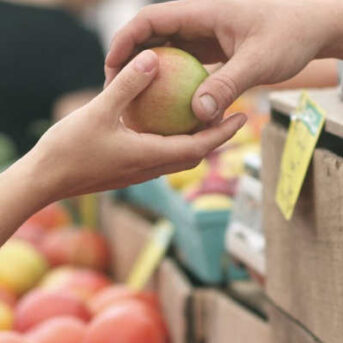 Gevallen over plantenbak op straat