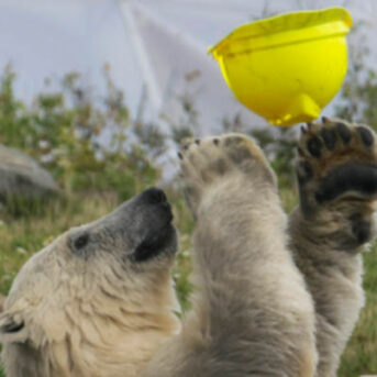 Smartengeld voorschot Rotterdamse Schaal